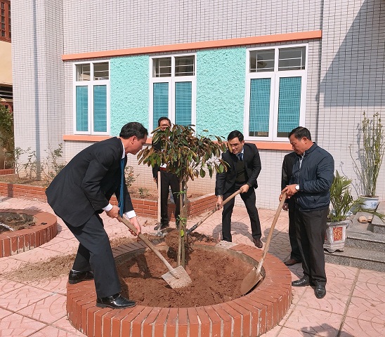 Tết trồng cây 1