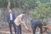 Trung tâm Y tế huyện Phú Xuyên hưởng ứng tết trồng cây năm 2019