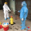 Tình hình dịch ngày 8 2