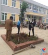 Trung tâm Y tế huyện Phú Xuyên hưởng ứng tết trồng cây năm 2021