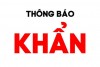 Thông báo khẩn trường hợp F0 tại xã Hoàng Long - Phú Xuyên - Hà Nội
